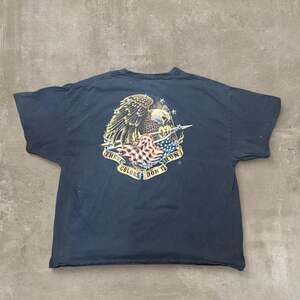 Gildan These Colors Don't Run Eagle Graphic T-Shirt